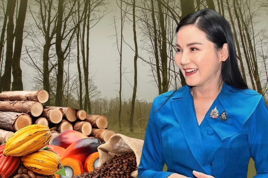 “นฤมล”เผย EUDR จัดไทยกลุ่มเสี่ยงต่ำ เอื้อส่งออกสินค้าเกษตร