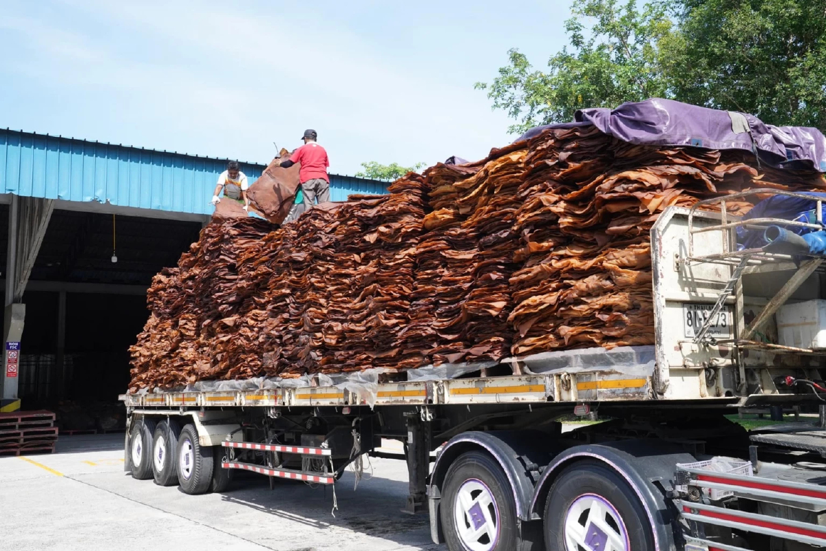 กยท.คุมเข้มขนส่งยางผ่านไทย จ่อทุ่ม 3,000 ล. ผลิตล้อ Greenergy Tyre