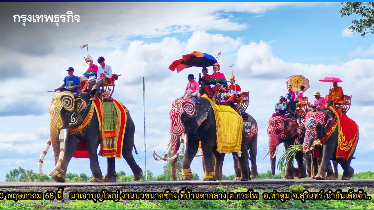 หนึ่งปีมีครั้ง 'ประเพณีบวชนาคช้าง' จ.สุรินทร์ วันที่ 10 พ.ค. 68