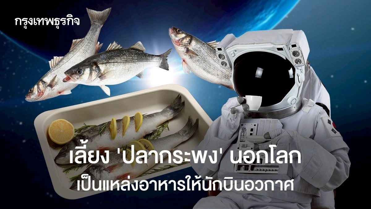 世界の外で「スナッパー」を育てることは、宇宙飛行士のための食料源です。