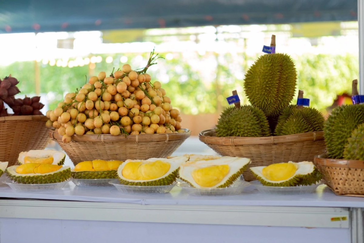 ชวนเที่ยวจันทบุรี สวรรค์แห่งผลไม้เมืองร้อน 68 เปิดตัวทุเรียน GI