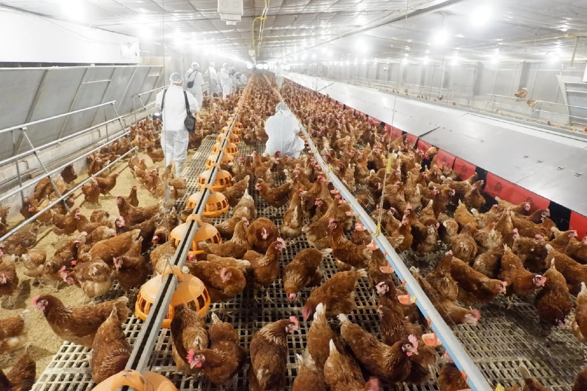 “บอร์ดอาหาร”เห็นชอบร่างแผน ลดการสูญเสียในห่วงโซ่การผลิต