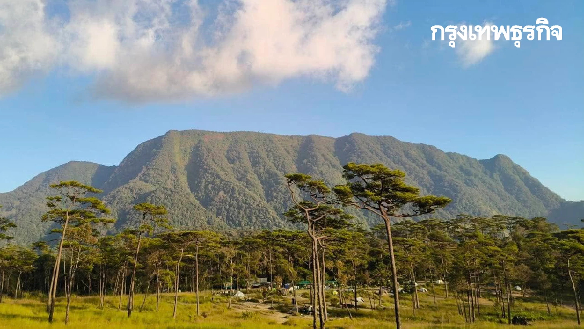 ‘ภูสอยดาว’ พร้อมเปิดให้เดินป่า ท่องเที่ยวลานสน ประจำปี 2568