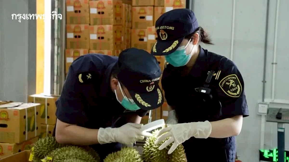 ด่านหลงปัง ทางเลือกที่ 3 นำเข้า“ทุเรียนไทย” สู่ตลาดจีน