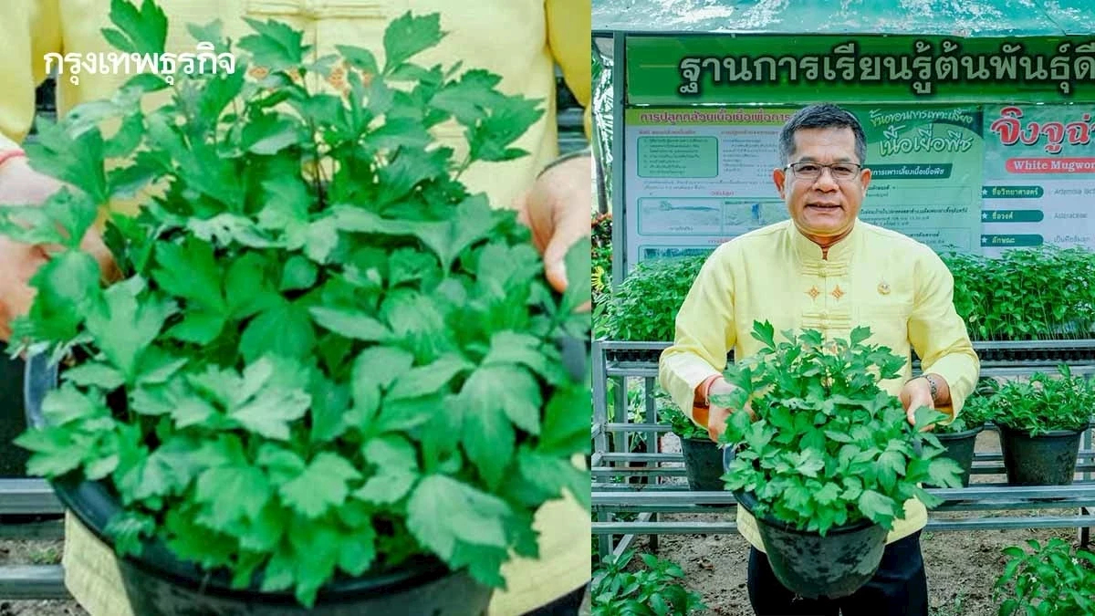 เกษตรฯ เปิดจุดบริการ DOAE ฝึกปฏิบัติการผลิต “พืชพันธุ์ดี”