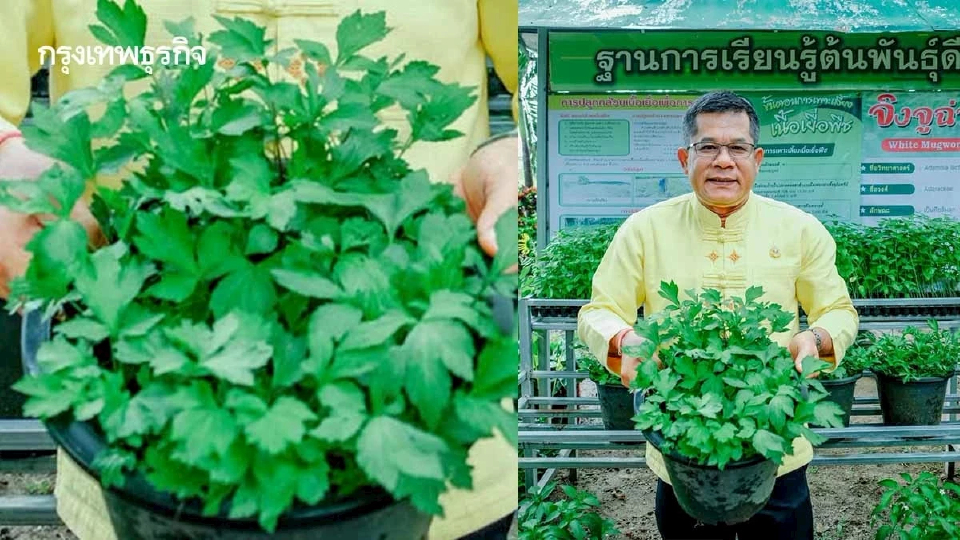 เกษตรฯ เปิดจุดบริการ DOAE ฝึกปฏิบัติการผลิต “พืชพันธุ์ดี”