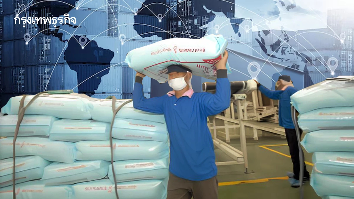 ปี68ผลผลิต“ข้าว”ทั่วโลกทำนิวไฮ ตลาดแข่งดุคาดไทยส่งออกลด29%