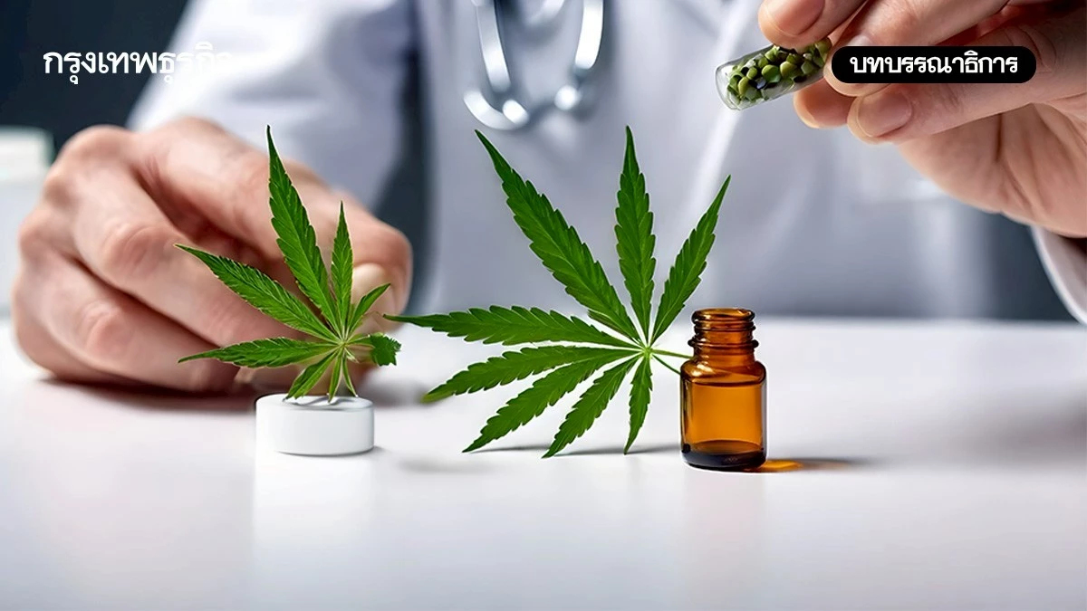 กัญชา : สู่การแพทย์สิ้นสุดกัญชาเสรี