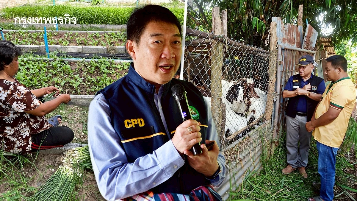 สหกรณ์ สร้างอาชีพทะลุเป้า 68จว. เกษตรกรเข็มแข็งยั่งยืน