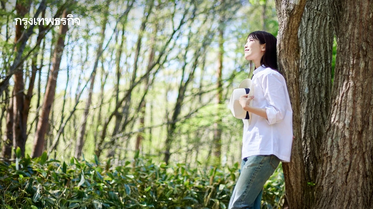 ใบสั่งยาจากธรรมชาติ! นักวิจัยแนะ ใช้เวลากับต้นไม้ ช่วยใจเบาได้จริง
