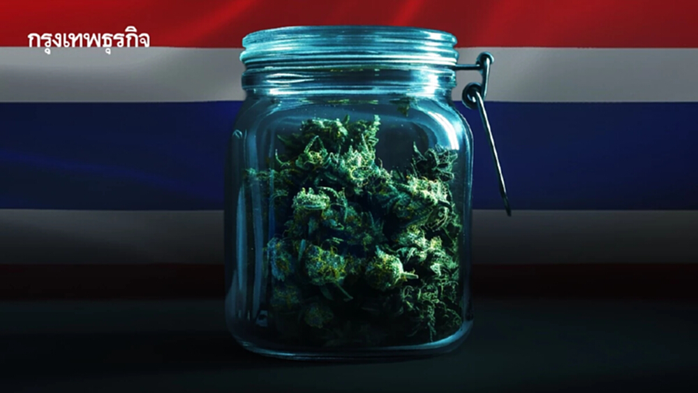 ครบ 3 ปี 'กัญชาเสรี' สังคมไทยได้อะไร? คุ้มไหมที่ปลดล็อก!