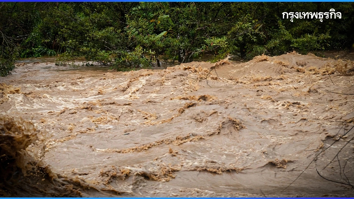 เปิดพิกัด 17 จังหวัด ปภ. เตือน น้ำท่วมฉับพลัน น้ำป่าไหลหลาก ดินถล่ม