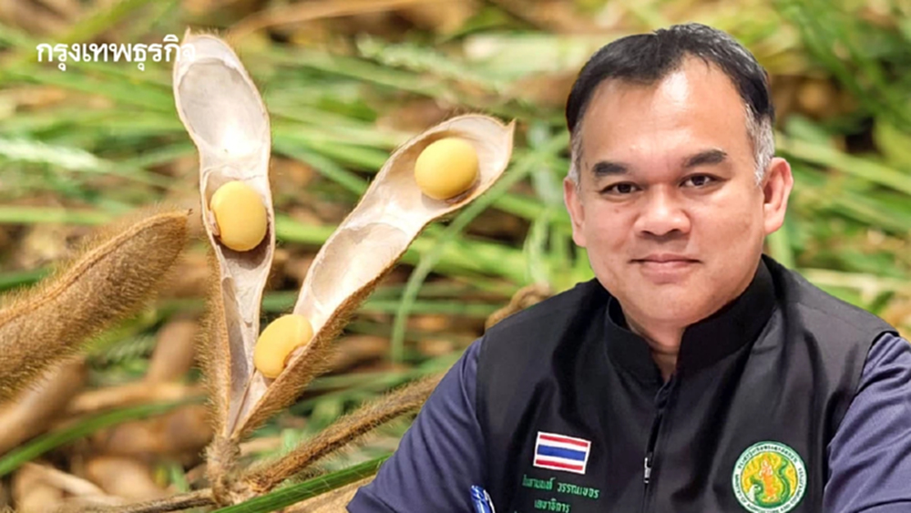 กองทุนเอฟทีเอ  หนุนผลิตถั่วเหลืองอินทรีย์–แฟร์เทรด ศรีสะเกษ