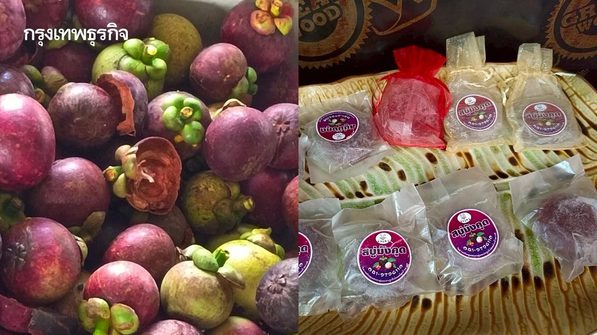 สบู่เปลือกมังคุด ทำรายได้ให้เกษตรกรกว่า9 แสนบาทต่อปี