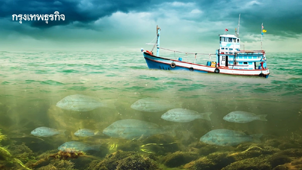 ทะเลเปลี่ยนสี เพราะน้ำอุ่นขึ้น แพลงก์ตอนพืชหายไป ปลาย้ายที่อยู่