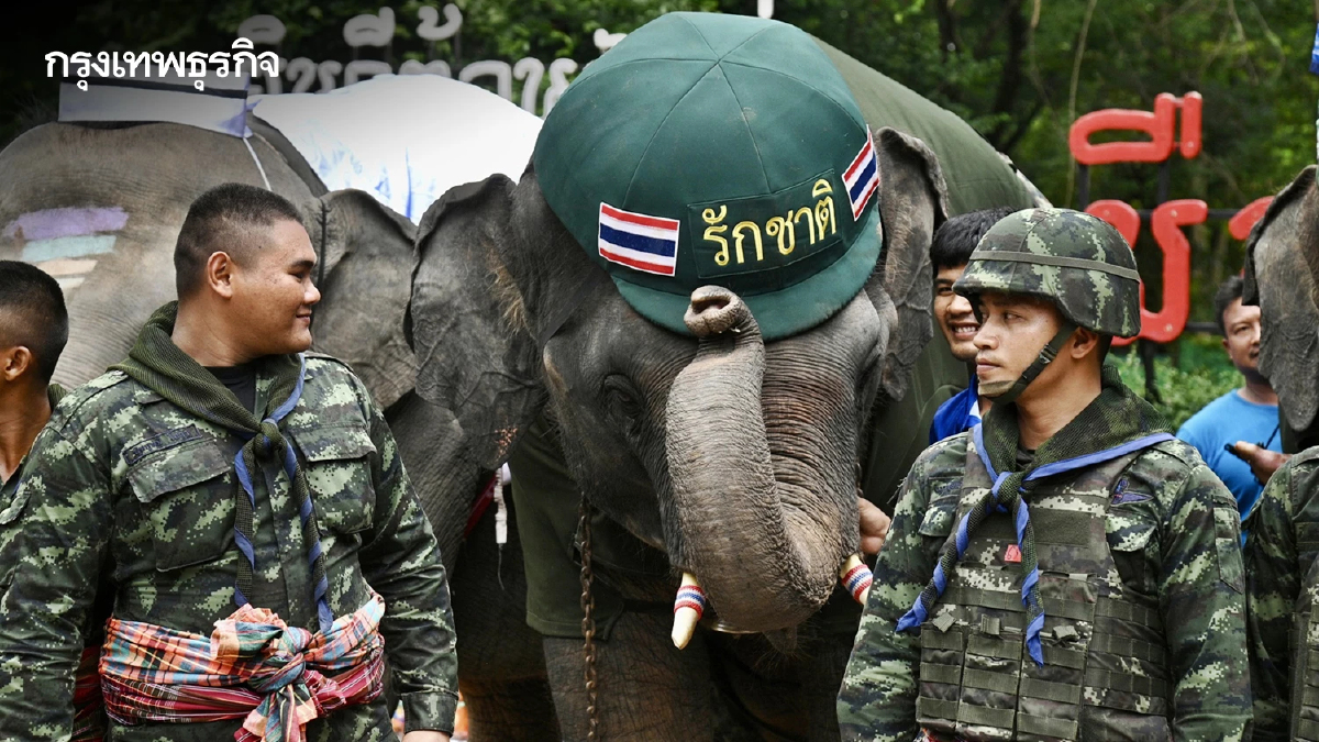 น่ารัก! น้องช้างจัดเต็ม แต่งชุดทหาร-พยาบาล ให้กำลังใจทหารชายแดน