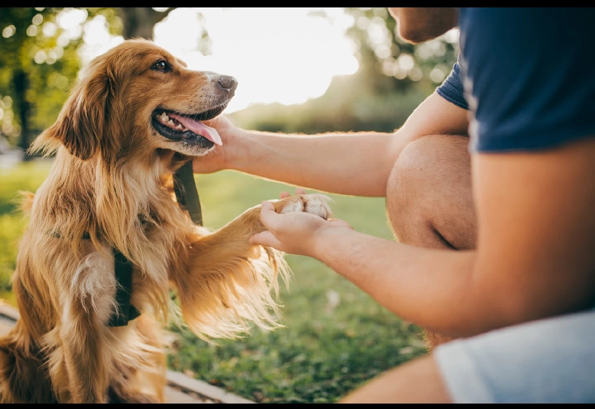 Mars Petcare - Big Idea Ventures เฟ้นสตาร์ทอัพโลก ปั้นอาหารสัตว์เลี้ยงยั่งยืน