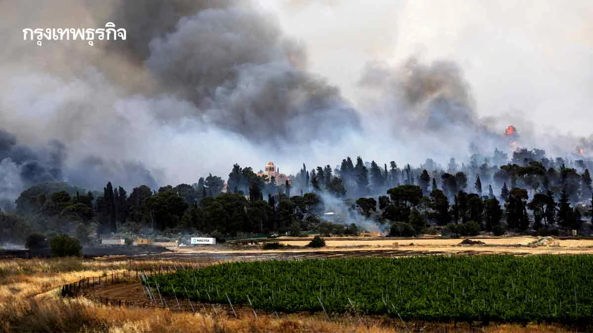 ‘ป่าเขตร้อนโลก’ วิกฤติ! ปี 2567 สูญเสีย 67,000 ตารางกิโลเมตร