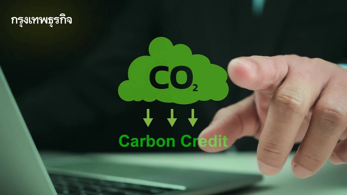 สถิติล่าสุด ตลาดคาร์บอนเครดิตไทย ปี 2568 เปลี่ยนทิศ ชดเชยจริง ไม่ใช่เกมลงทุน