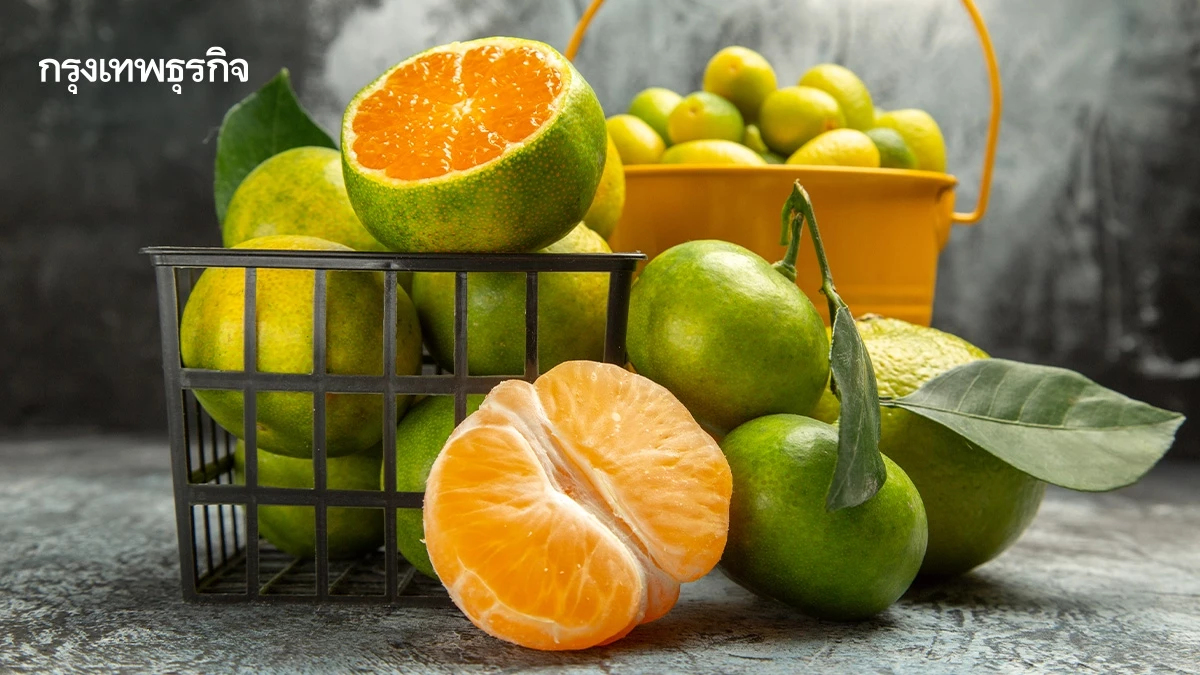 'ส้มโชกุนเบตง' สินค้า GI ใหม่ ยกระดับสู่ตลาดโลก ทำเงินปีละ 167 ล้าน