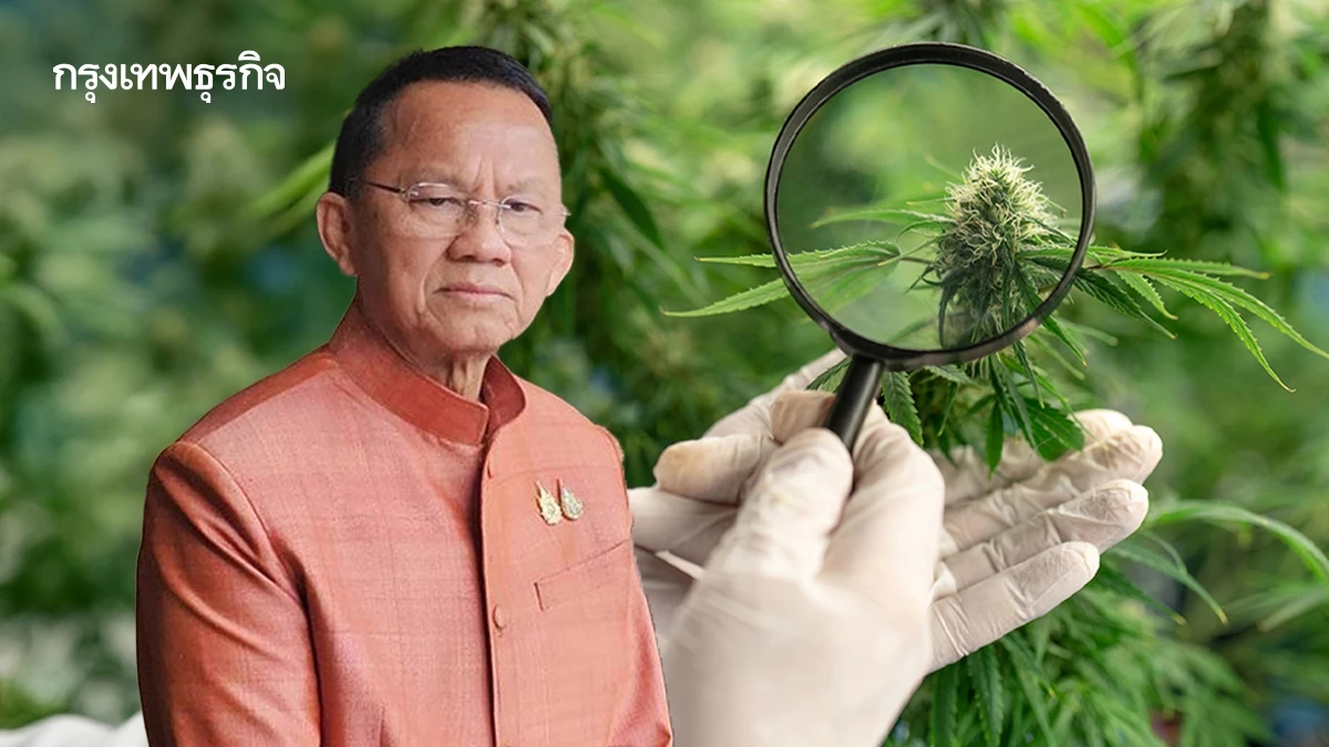 'สมศักดิ์' อัดคน 'ปลดล็อกกัญชา' ชี้ได้มาแบบ ข่มขู่ ข่มขืน