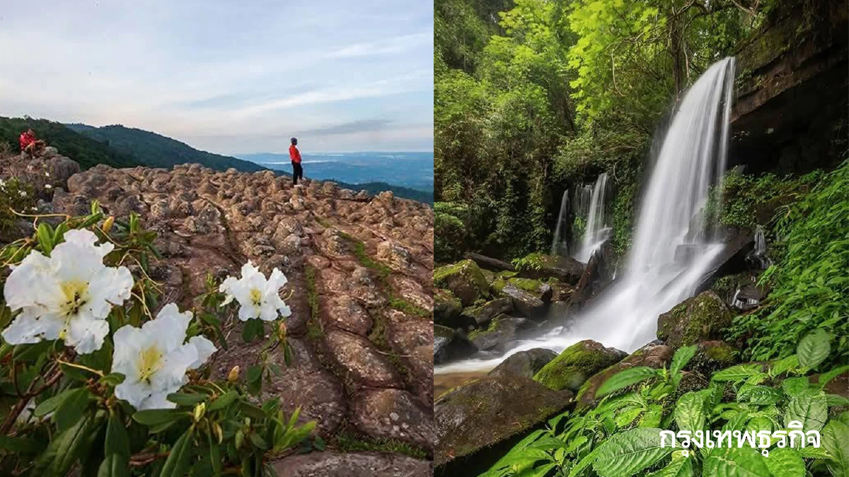 ใครอยู่เหนือบ้าง? ไปเที่ยวกัน 'ภูหินร่องกล้า' อากาศเย็นดี มีหมอก