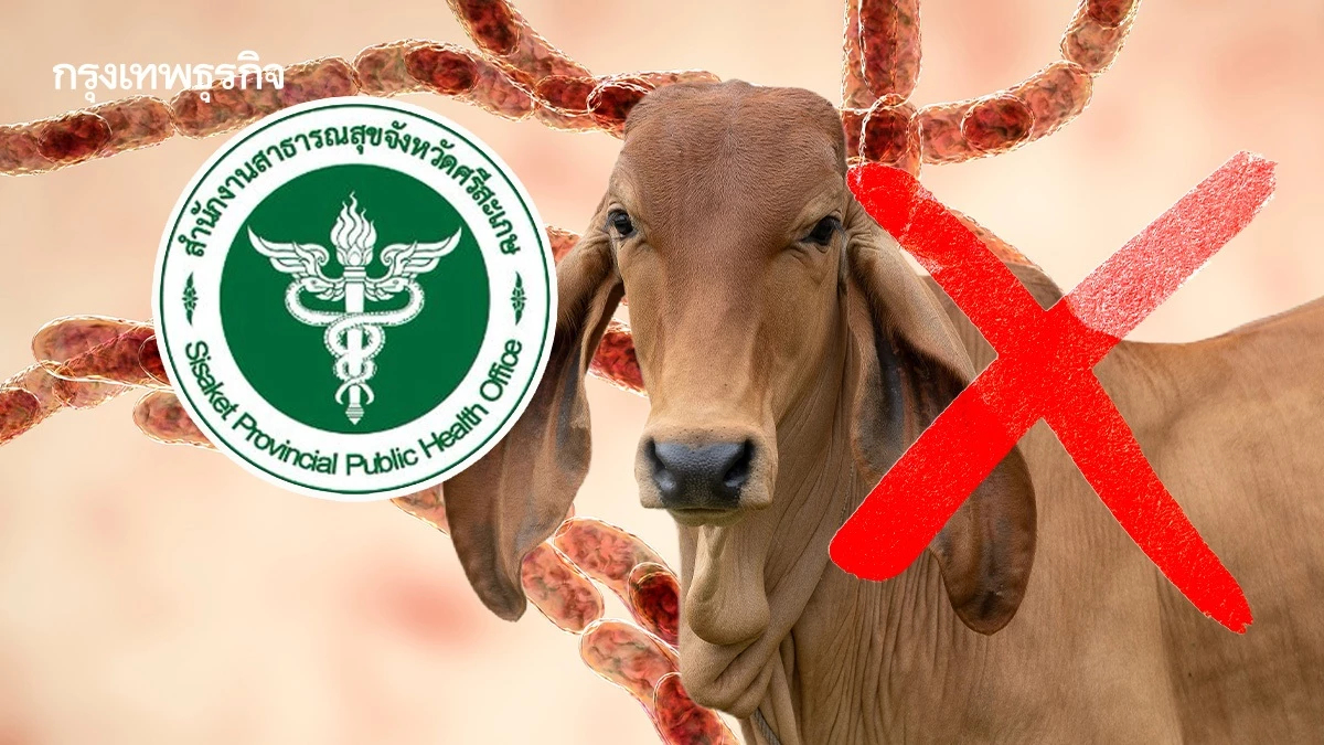 สสจ.ศรีสะเกษ ยันไร้ผู้ป่วยแอนแทรกซ์ในพื้นที่ ขออย่าตื่นตระหนก