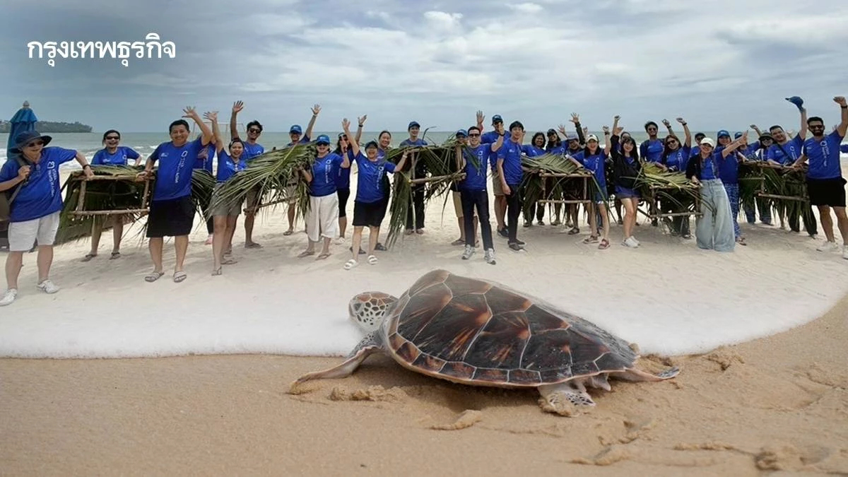 กรุงไทย–แอกซ่า ประกันชีวิต​ ทุ่มพลัง Save Our Sea ปี 3 ปล่อยเต่าทะเล–บ้านปลา