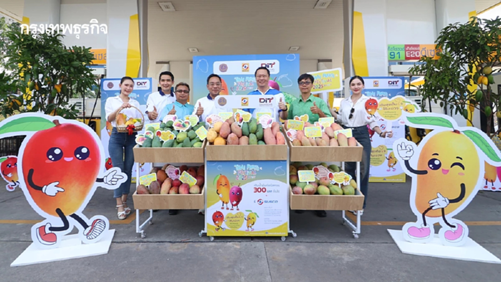 SUSCO ร่วม กระทรวงพาณิชย์ ช่วยเหลือเกษตรกร ผู้ปลูกมะม่วงภาคเหนือ