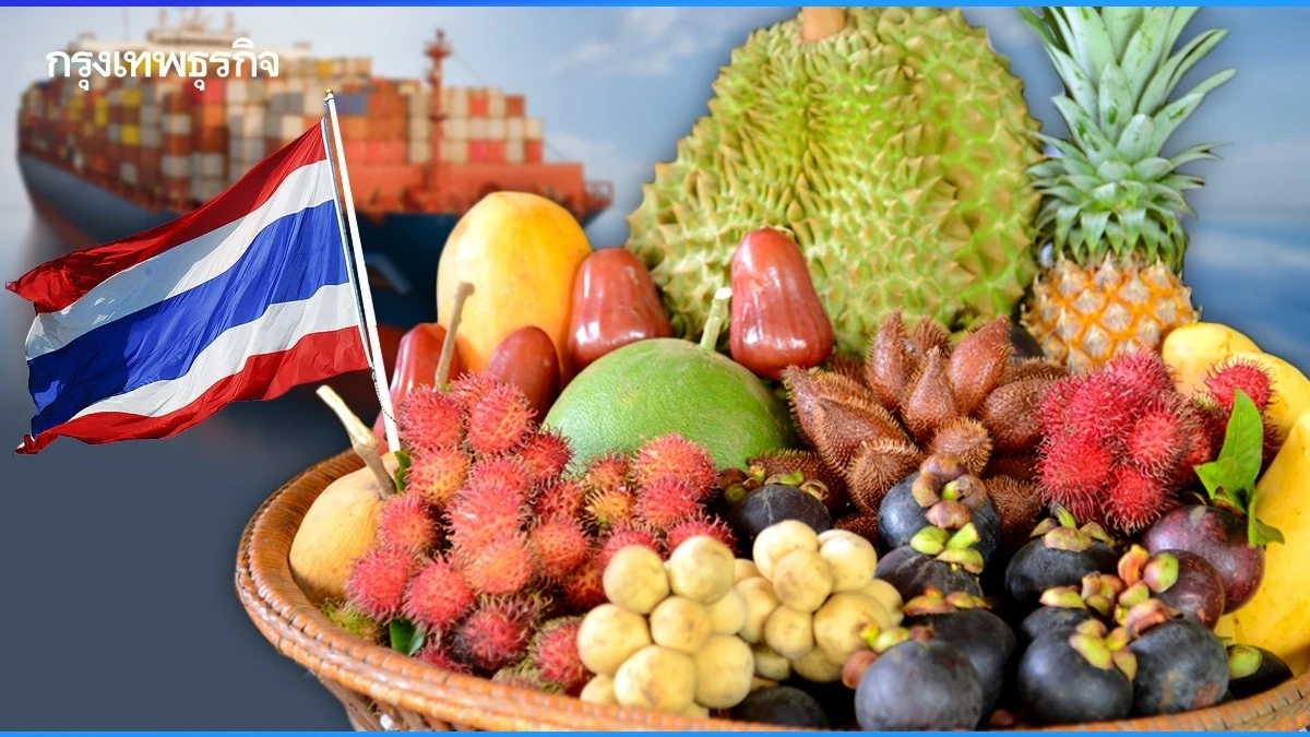 “พาณิชย์” เร่งกระจายผลไม้ กว่า3,000 ตัน สู่ตลาดในประเทศ