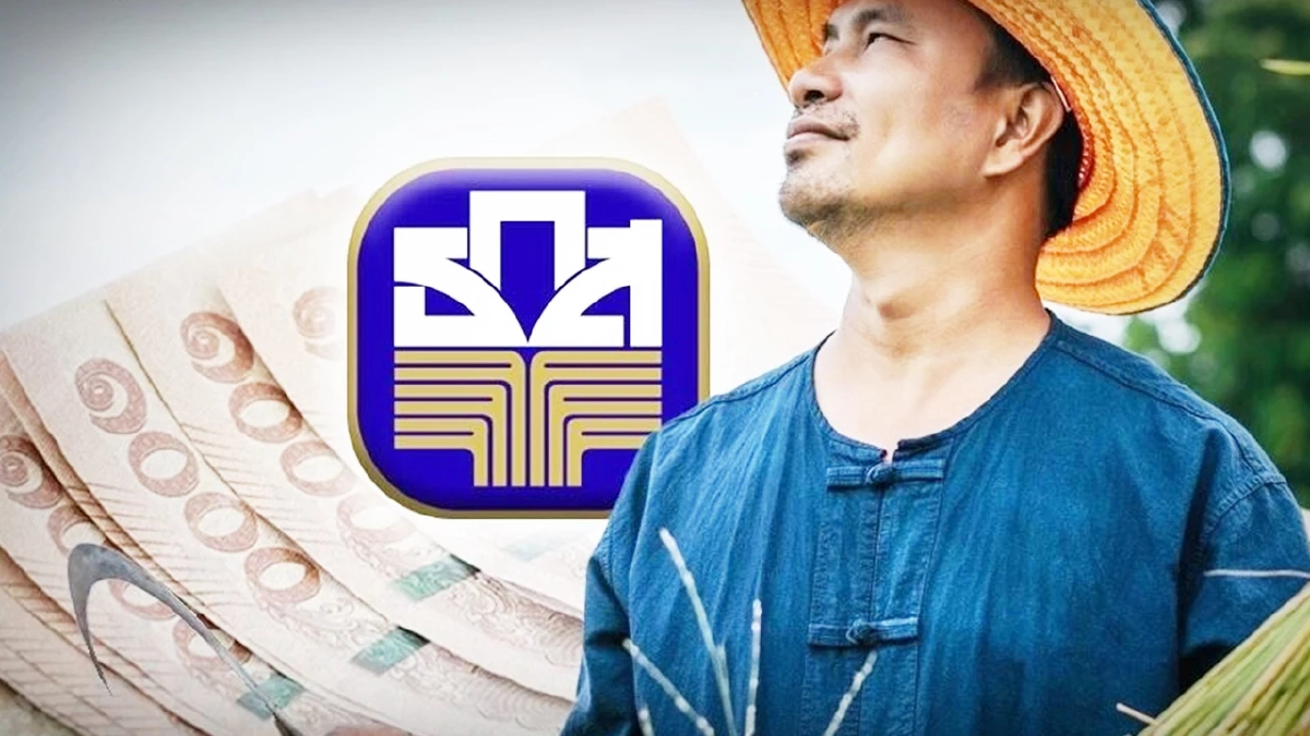 เกษตรกร 68/69 เช็กไร่ละ 500 ค่าปัจจัยไร่ละ 500 ค่าปรับพื้นที่ไร่ละ 1500