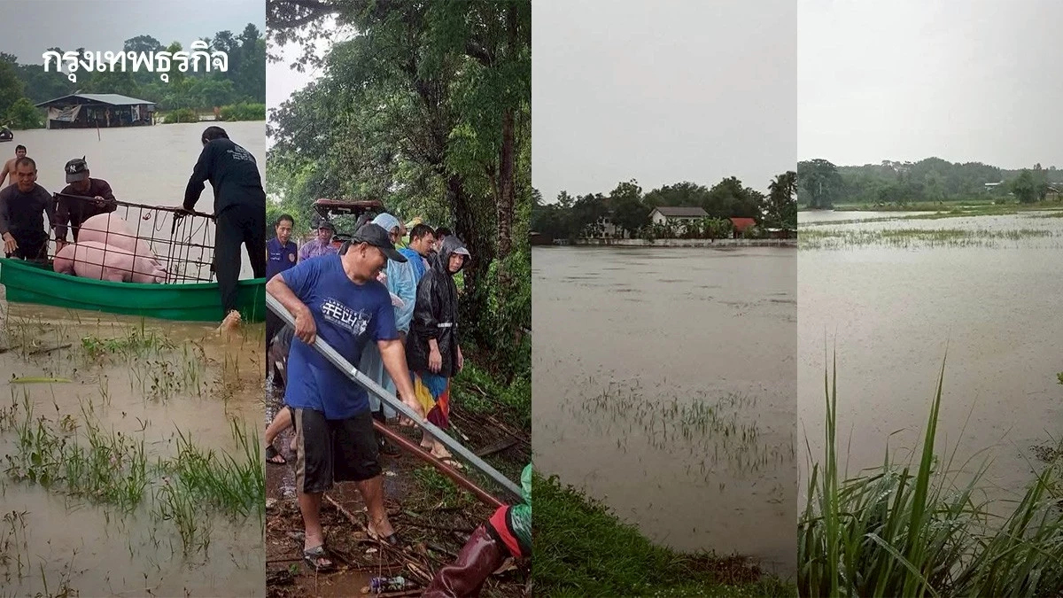 พายุฝนเข้าสกลนครอ่วม ฝนตกหนัก น้ำท่วมหลายอำเภอ ถนนขาด-หมูจมน้ำ