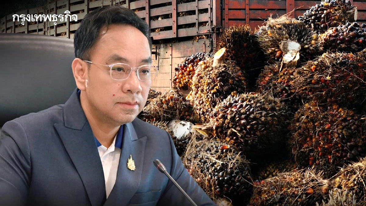 ช่วยเกษตรกร กรมการค้าภายใน คงราคารับซื้อปาล์มโรงสกัด 5.20 บาท/กก.
