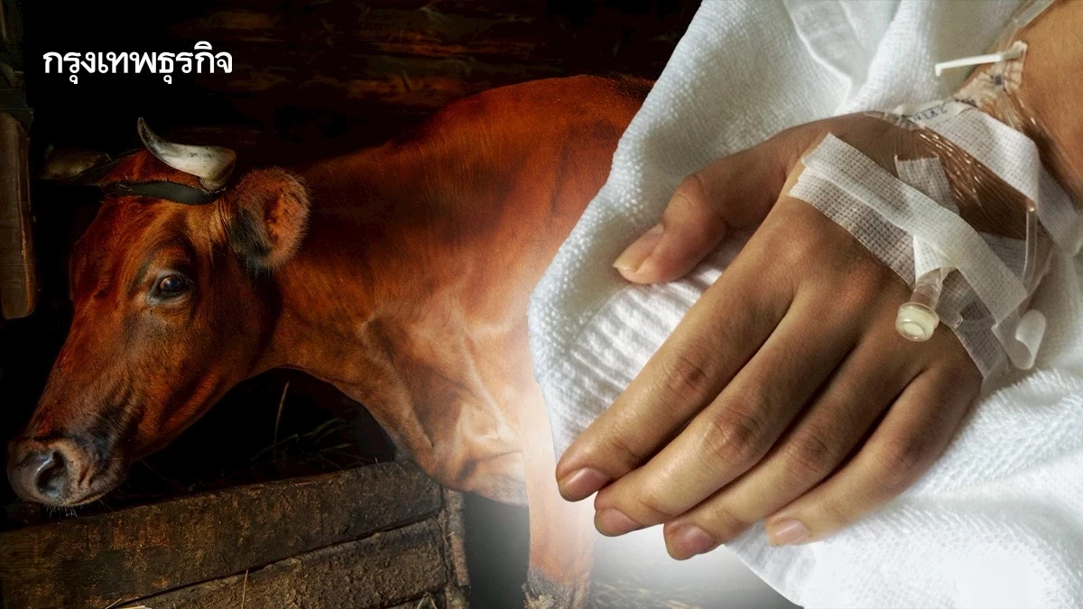 สระแก้ว พบผู้ป่วย 'แอนแทรกซ์' รายแรก เตือน ระวังการบริโภคเนื้อดิบ