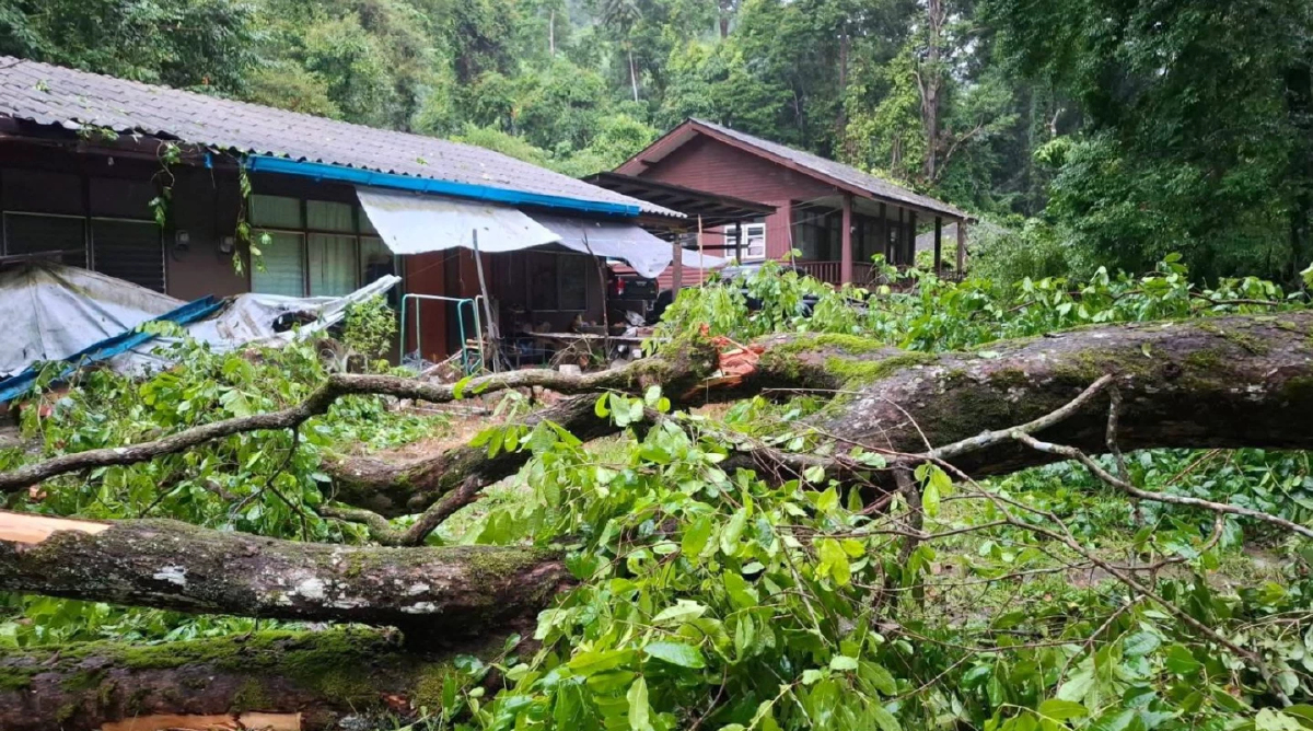 'น้ำตกธารโต' ปิดชั่วคราว เส้นทางถูกตัดขาด ไฟดับ หลังฝนถล่มหนัก