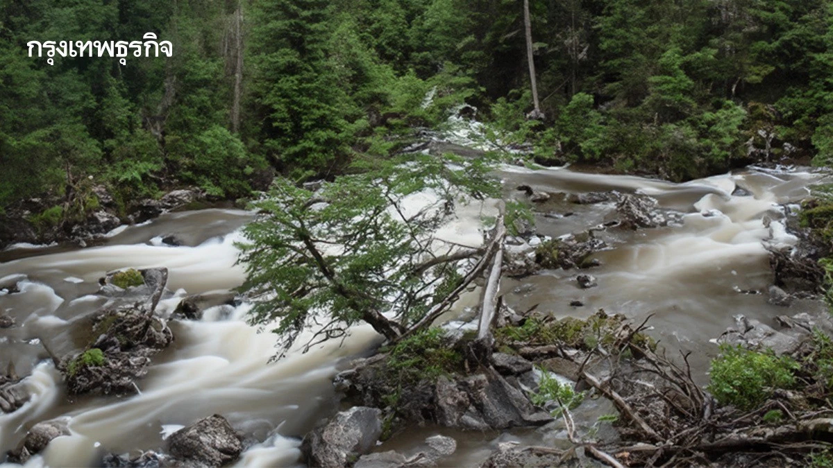 เช็ก 3 สัญญาณน้ำป่าไหลหลาก-ดินถล่ม หน้าฝนนี้ต้องระวังอะไรบ้าง?