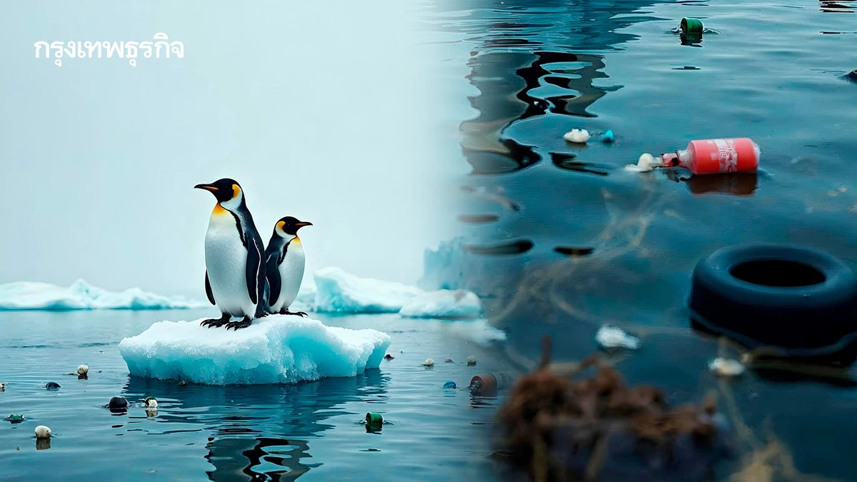 ‘ไมโครพลาสติก’ ภัยเงียบขั้วโลกใต้ กระทบห่วงโซ่อาหารแอนตาร์กติก