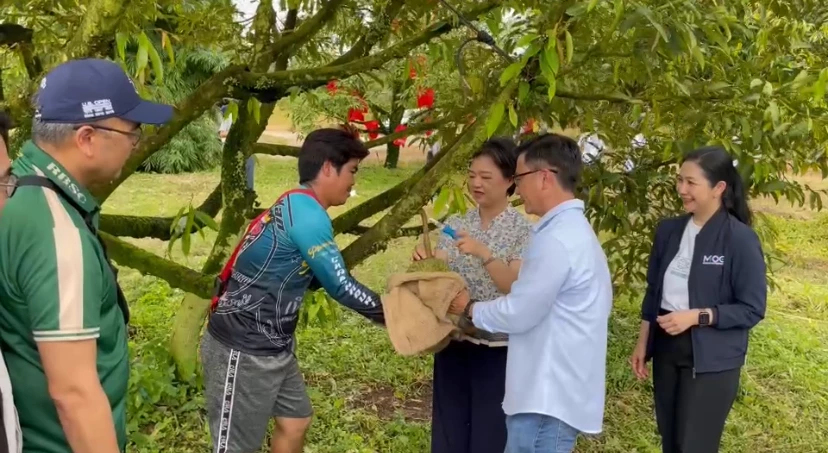 กรมส่งเสริมการค้าระหว่างประเทศ มั่นใจ ปี 68 ไทย ส่งออก ”ทุเรียน“ ตามเป้า 1 ล้านตัน