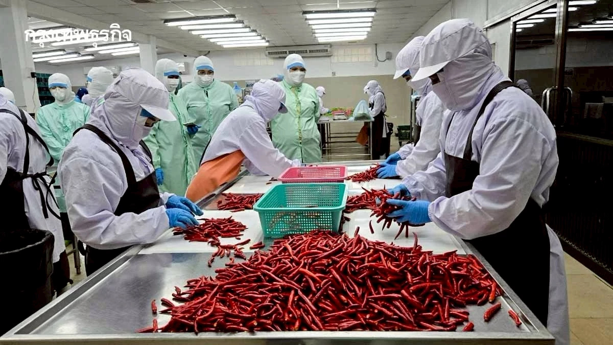 'ซีพีเอฟ'  หนุน SME ยกระดับการผลิตอาหารปลอดภัยได้มาตรฐานสากล