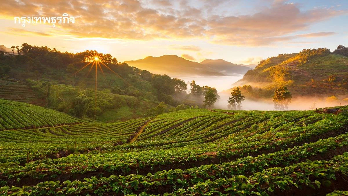 รัฐอนุมัติพื้นที่ป่า 8 จังหวัด 1.1 หมื่นไร่ ให้ชาวบ้านทำกิน ภายใต้ 26 เงื่อนไข