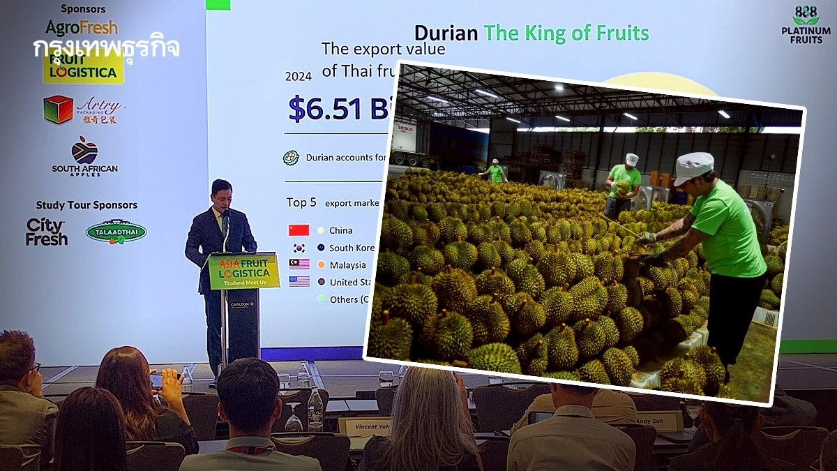 จีนยืนหนึ่งทุเรียนไทย เน้นปลอดภัย ซบตลาดพรีเมี่ยมคือทางออก