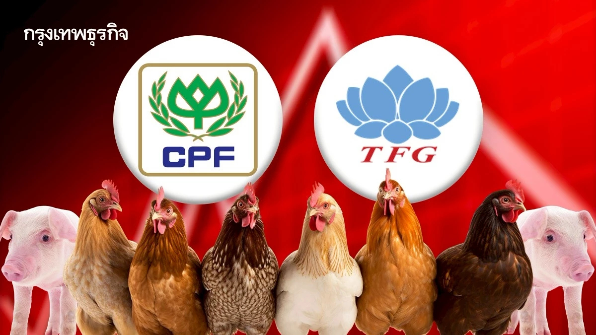 4 หุ้นกลุ่มเนื้อสัตว์กอดคอร่วง CPF-TFG ลบนำกลุ่ม 6% ราคาหมูปรับตัวลงติดต่อกัน 2 สัปดาห์