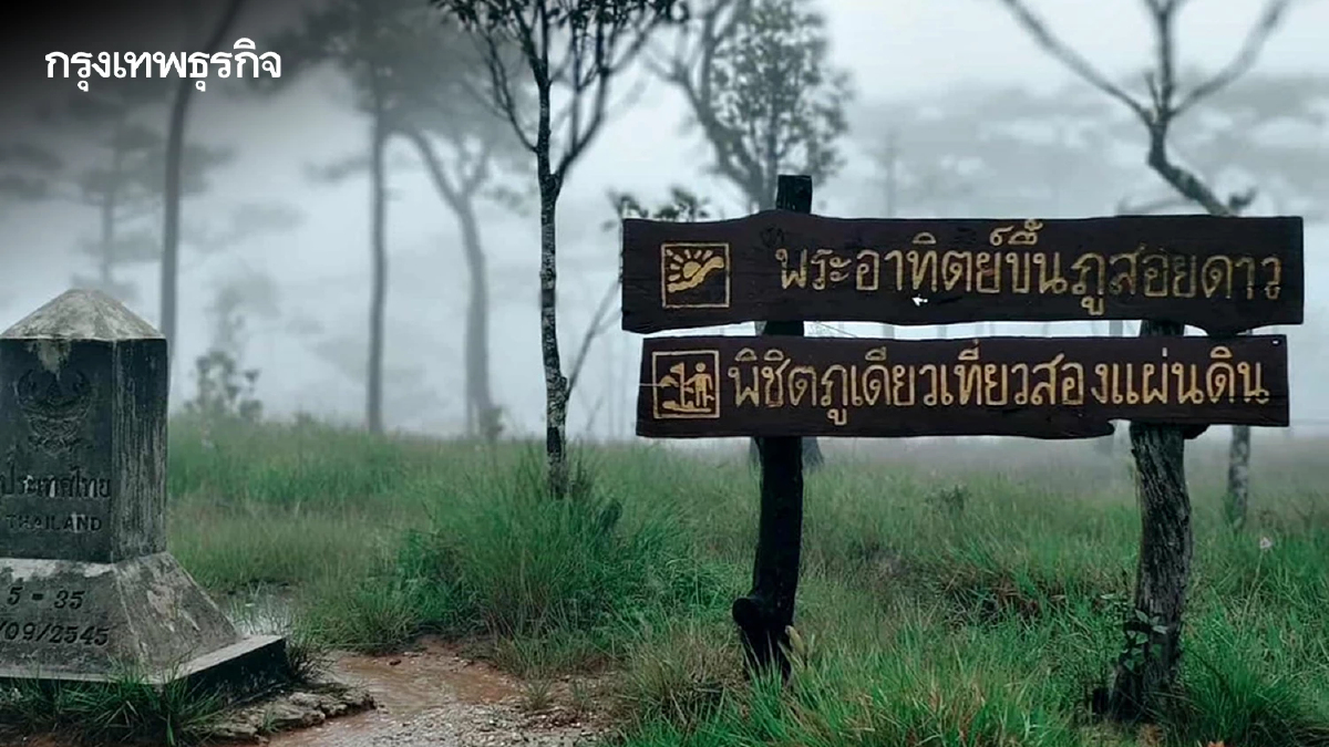 อช.ภูสอยดาว เปิดแล้ว พร้อมรับนทท.พิชิตป่าลานสน ชมทุ่งดอกหงอนนาค