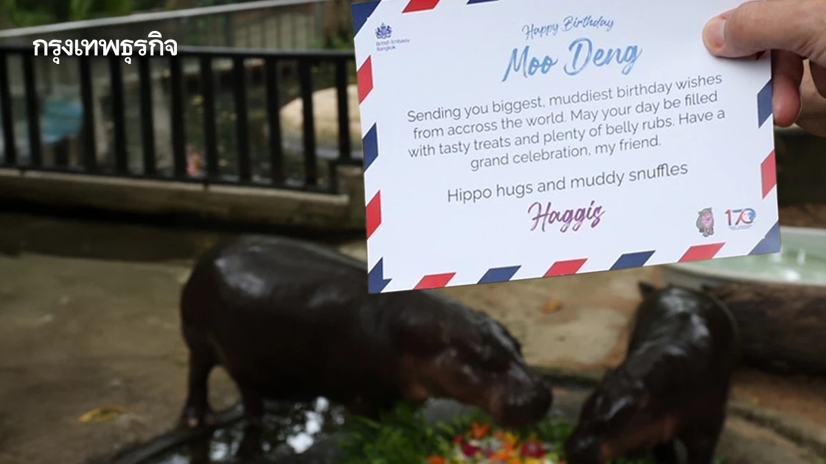 แฮปปี้เบิร์ธเดย์เพื่อนซี้  จากแฮกกิสถึงหมูเด้ง l World Pulse