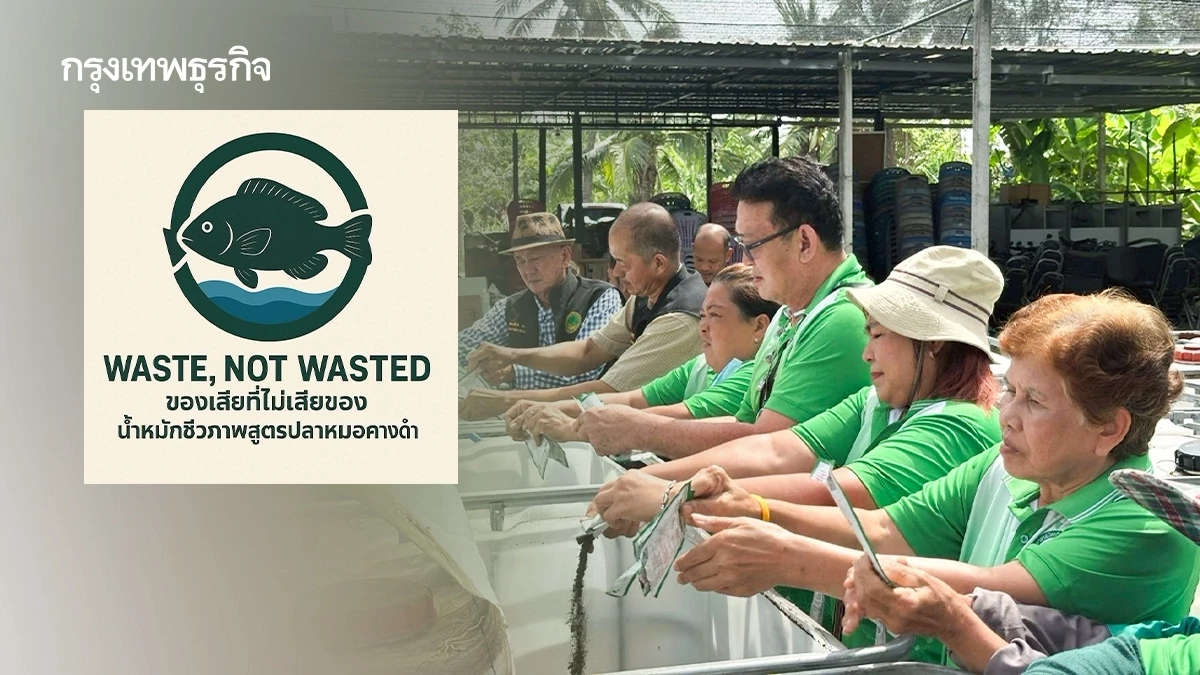 น้ำหมักชีวภาพปลาหมอคางดำ ‘Waste, Not Wasted’ช่วยผลผลิตดีขึ้น