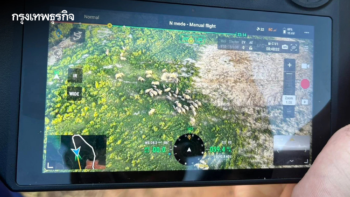 เผยภาพ ช้างป่า ยกโขลง 70 ตัว บุกกินพืชผลเกษตร จนท.เร่งผลักดันกลับ