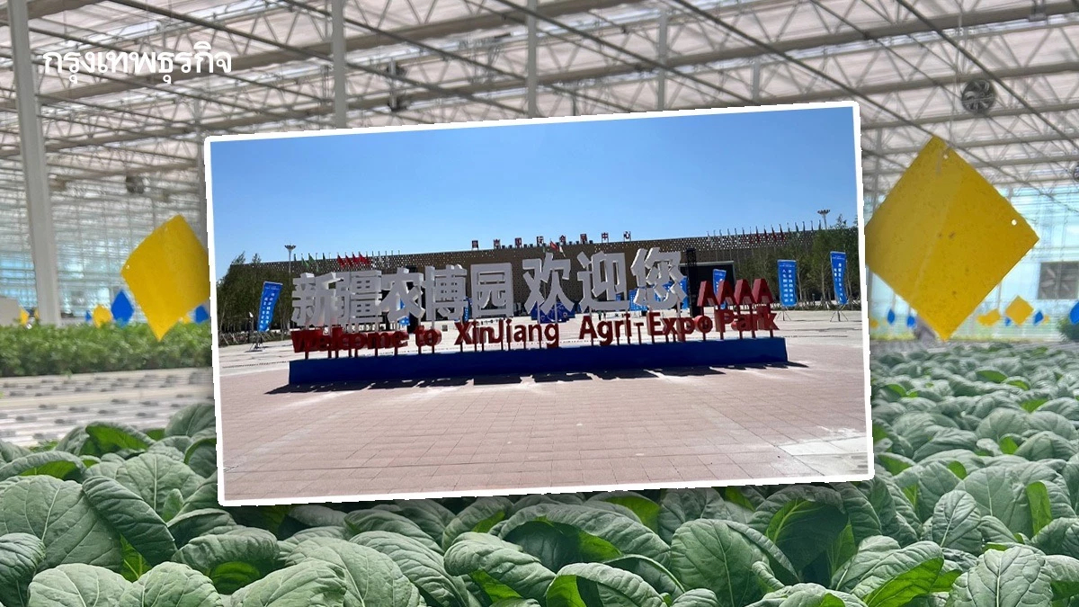 พลิกฟื้น ‘เกษตรกรรม’ ใน ‘ซินเจียง’ ด้วยเทคโนโลยี