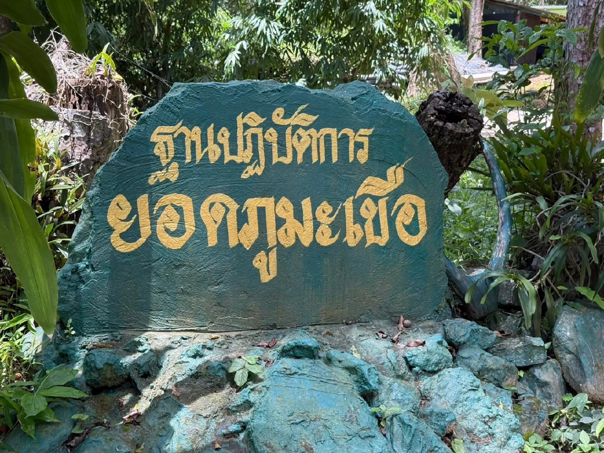 ทบ.สดุดีทหารสละชีวิต ปกป้อง 'ภูมะเขือ' 1 นาย รวมกำลังพลเสียชีวิต จำนวน7 นาย