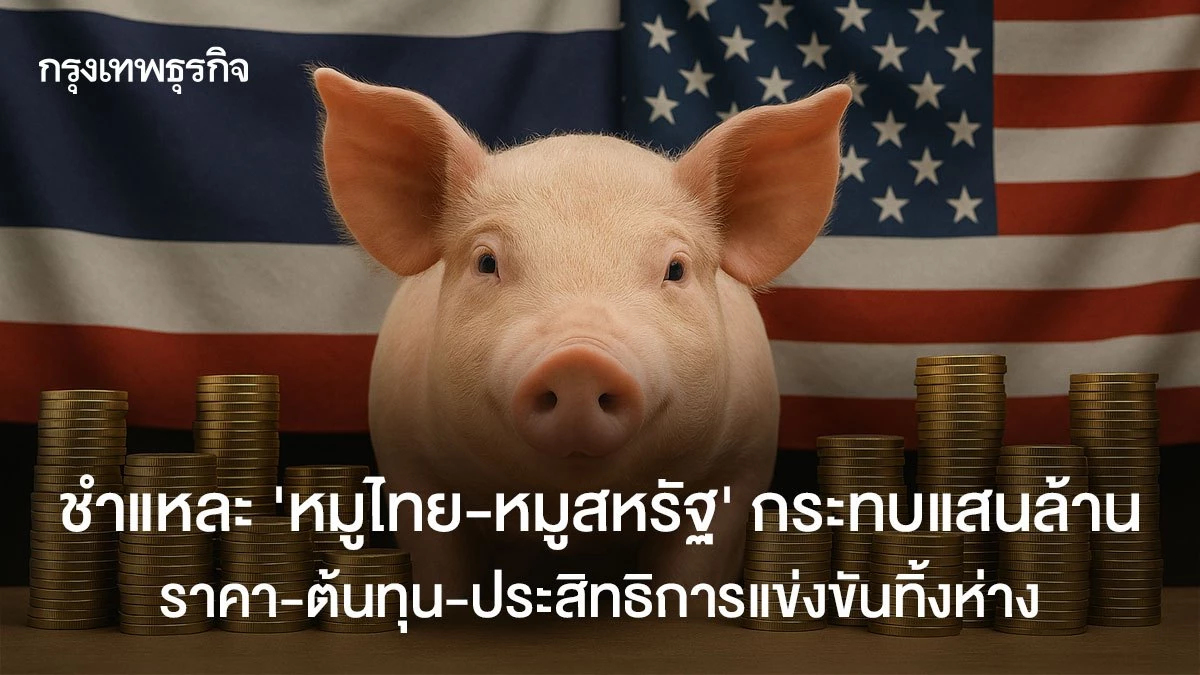 ชำแหละ “หมูไทย-หมูสหรัฐ” กระทบแสนล้าน ราคา-ต้นทุน-ประสิทธิภาพแข่งขันทิ้งห่าง
