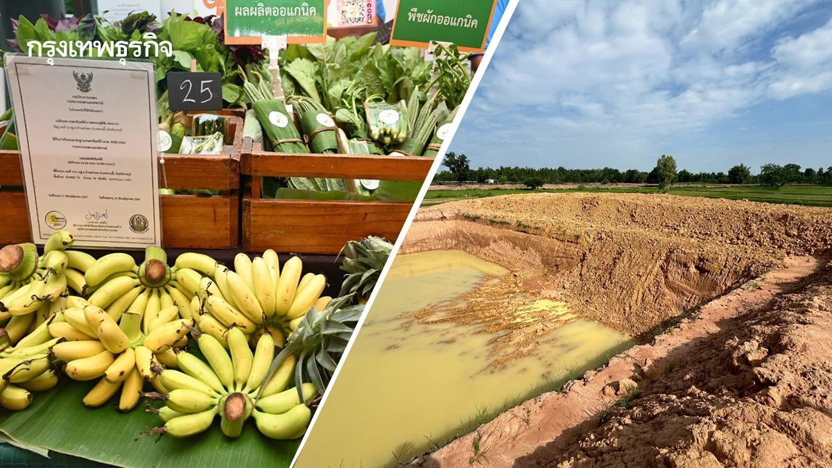 สศก.หนุนเกษตรกรร่วมแก้ดินเสื่อมโทรมตามแนวคิด LDN มุ่งสู่การใช้ที่ดินอย่างยั่งยืน